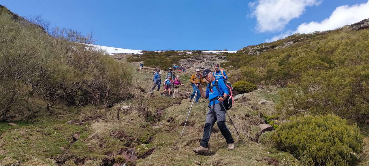 WhatsApp Image 2026-04-08 at 07.40.55 (1)